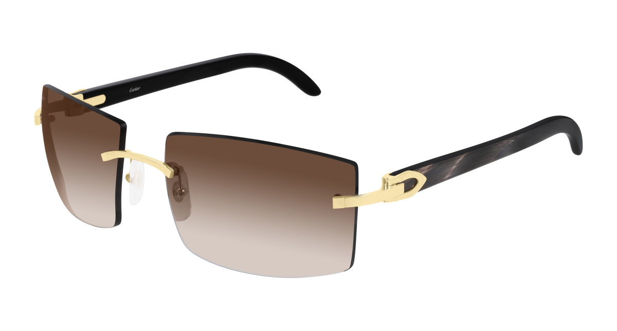 Lunettes de Soleil Cartier CT0021RS 001 Or