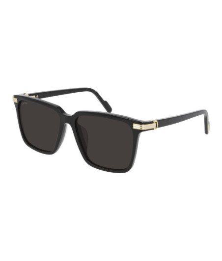 Lunettes de Soleil Cartier CT0220SA 001 Noir