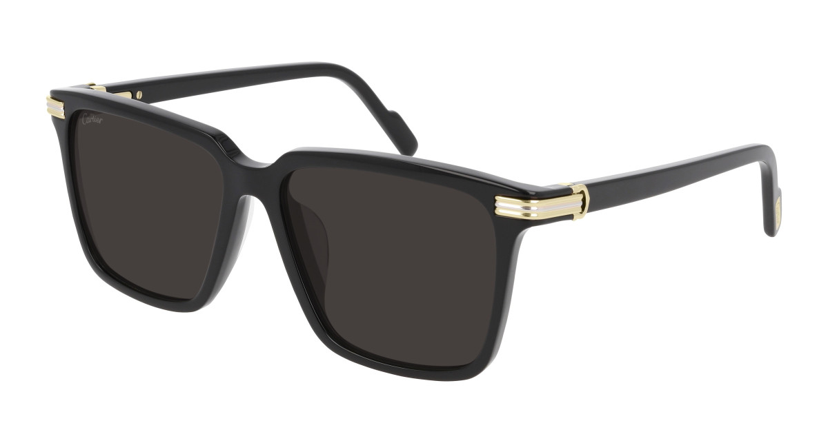 Lunettes de Soleil Cartier CT0220SA 001 Noir