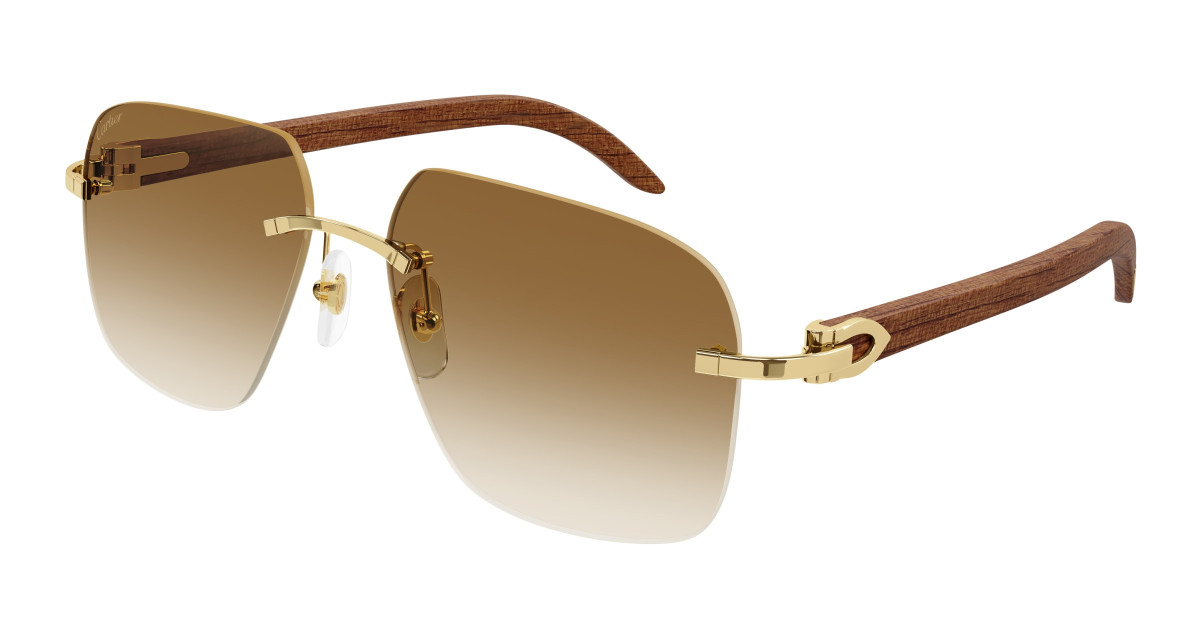 Lunettes de Soleil Cartier CT0041RS 001 Or