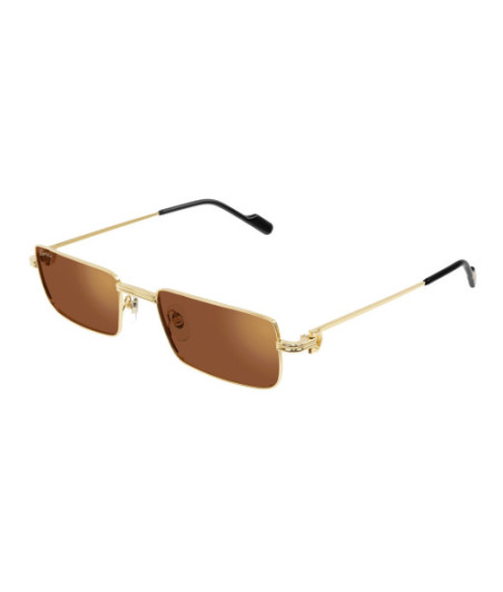 Eyeglasses Cartier CT0501S 002 Gold