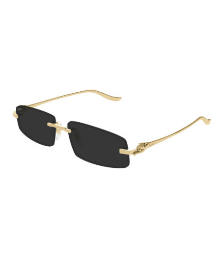 Eyeglasses Cartier CT0505S 001 Gold