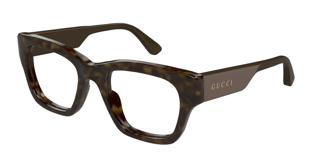 Sunglasses Gucci GG1669O 004 Havana