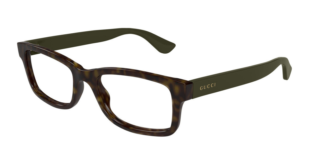 Sunglasses Gucci GG1717O 004 Havana